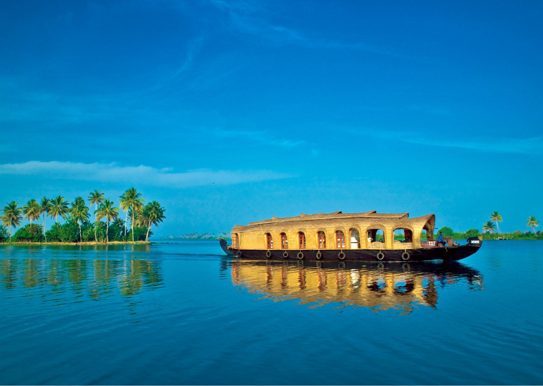 Ayurveda in Kerala: Nurturing Wellness in God's Own Country - Herbally