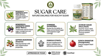 Sugar Care 180 Tablets - Natural Herbal Supplement Pakistan